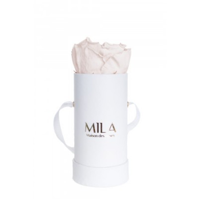 Produit Mila-Roses-00083 Mila Classic Baby White - Pink bottom