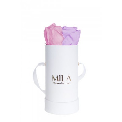 Produit Mila-Roses-00084 Mila Classic Baby White - Vintage rose