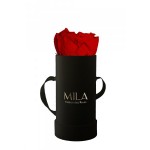  Mila-Roses-00087 Mila Classic Baby Black - Rouge Amour