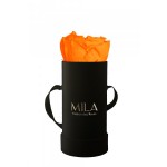  Mila-Roses-00089 Mila Classic Baby Black - Orange Bloom