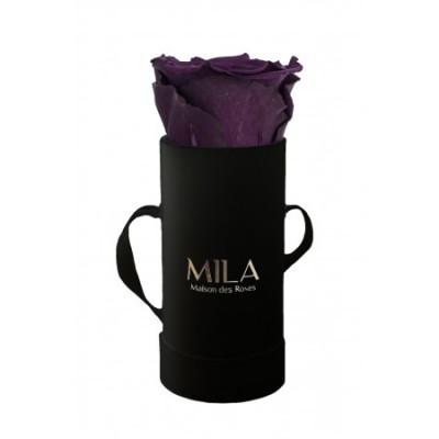Produit Mila-Roses-00101 Mila Classic Baby Black - Velvet purple