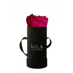  Mila-Roses-00102 Mila Classic Baby Black - Fuchsia