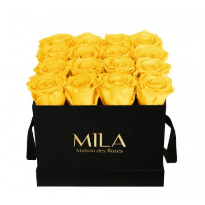 Produit Mila-Roses-00115 Mila Classic Medium Black - Yellow Sunshine