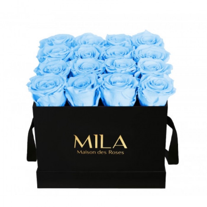 Mila Classic Medium Black - Baby blue