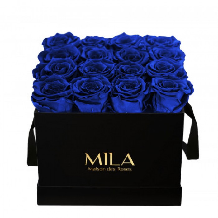 Mila Classic Medium Black - Royal blue
