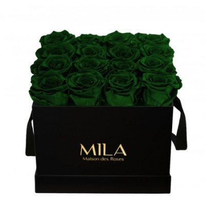 Produit Mila-Roses-00124 Mila Classic Medium Black - Emeraude