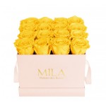  Mila-Roses-00136 Mila Classic Medium Pink - Yellow Sunshine
