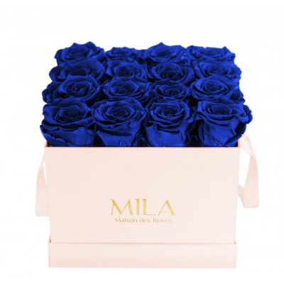 Produit Mila-Roses-00139 Mila Classic Medium Pink - Royal blue