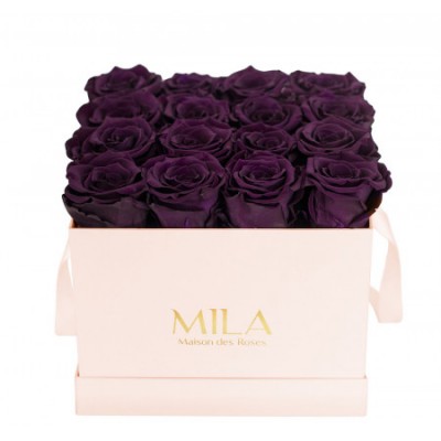 Produit Mila-Roses-00143 Mila Classic Medium Pink - Velvet purple