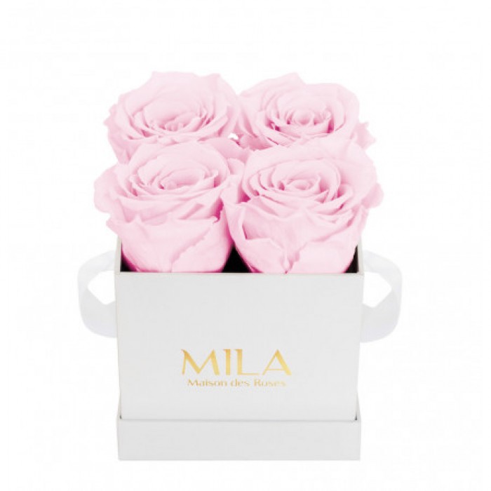Mila Classic Mini White - Pink Blush