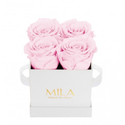 Produit Mila-Roses-00148 Mila Classic Mini White - Pink Blush