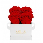  Mila-Roses-00150 Mila Classic Mini White - Rouge Amour