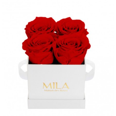 Produit Mila-Roses-00150 Mila Classic Mini White - Rouge Amour