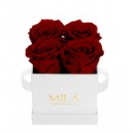  Mila-Roses-00151 Mila Classic Mini White - Rubis Rouge