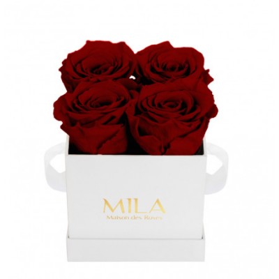 Produit Mila-Roses-00151 Mila Classic Mini White - Rubis Rouge