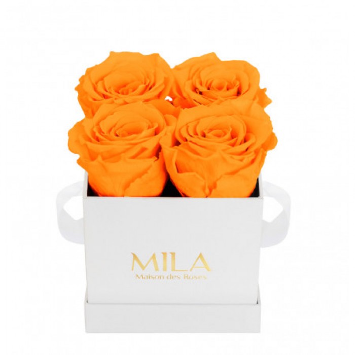 Mila Classic Mini White - Orange Bloom