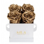  Mila-Roses-00154 Mila Classic Mini White - Metallic Gold