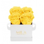  Mila-Roses-00157 Mila Classic Mini White - Yellow Sunshine