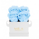  Mila-Roses-00158 Mila Classic Mini White - Baby blue