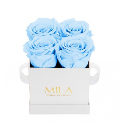 Produit Mila-Roses-00158 Mila Classic Mini White - Baby blue