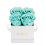  Mila-Roses-00159 Mila Classic Mini White - Aquamarine