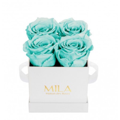Produit Mila-Roses-00159 Mila Classic Mini White - Aquamarine