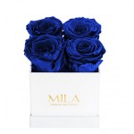  Mila-Roses-00160 Mila Classic Mini White - Royal blue