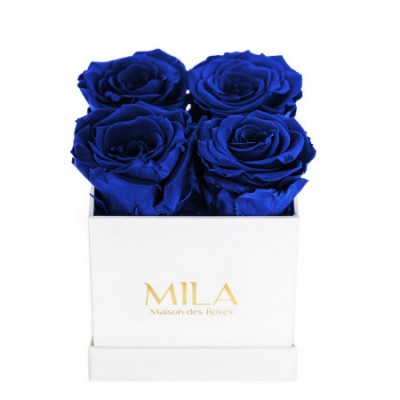 Produit Mila-Roses-00160 Mila Classic Mini White - Royal blue