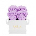  Mila-Roses-00161 Mila Classic Mini White - Lavender