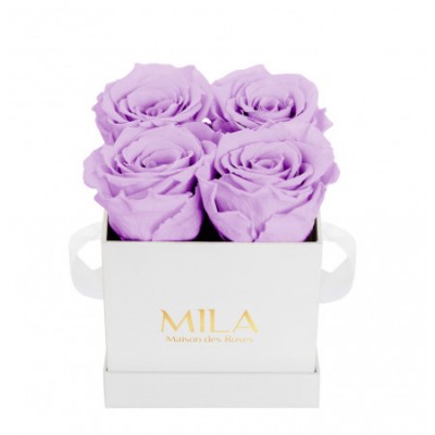 Produit Mila-Roses-00161 Mila Classic Mini White - Lavender