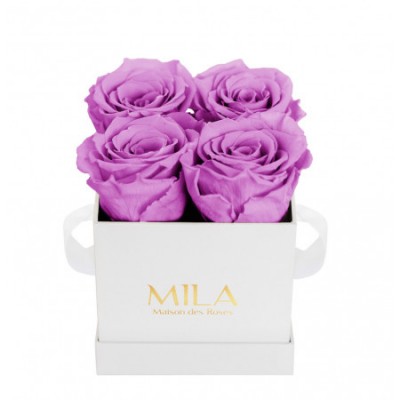 Produit Mila-Roses-00162 Mila Classic Mini White - Mauve