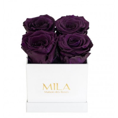 Produit Mila-Roses-00164 Mila Classic Mini White - Velvet purple