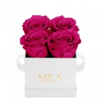  Mila-Roses-00165 Mila Classic Mini White - Fuchsia