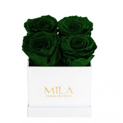Produit Mila-Roses-00166 Mila Classic Mini White - Emeraude