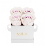  Mila-Roses-00167 Mila Classic Mini White - Pink bottom