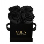  Mila-Roses-00169 Mila Classic Mini Black - Black Velvet