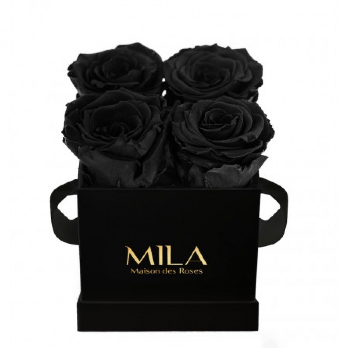 Mila Classic Mini Black - Black Velvet