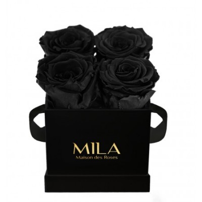 Produit Mila-Roses-00169 Mila Classic Mini Black - Black Velvet