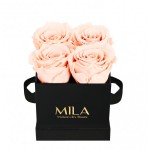  Mila-Roses-00173 Mila Classic Mini Black - Pure Peach