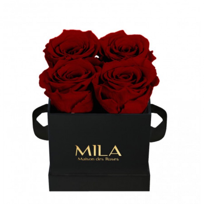 Mila Classic Mini Black - Rubis Rouge