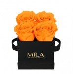  Mila-Roses-00176 Mila Classic Mini Black - Orange Bloom