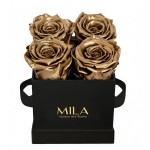  Mila-Roses-00178 Mila Classic Mini Black - Metallic Gold