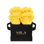  Mila-Roses-00181 Mila Classic Mini Black - Yellow Sunshine
