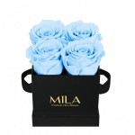  Mila-Roses-00182 Mila Classic Mini Black - Baby blue