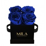  Mila-Roses-00184 Mila Classic Mini Black - Royal blue