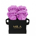  Mila-Roses-00186 Mila Classic Mini Black - Mauve