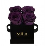  Mila-Roses-00188 Mila Classic Mini Black - Velvet purple