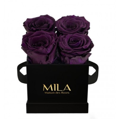 Produit Mila-Roses-00188 Mila Classic Mini Black - Velvet purple