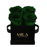  Mila-Roses-00190 Mila Classic Mini Black - Emeraude