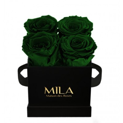 Produit Mila-Roses-00190 Mila Classic Mini Black - Emeraude
